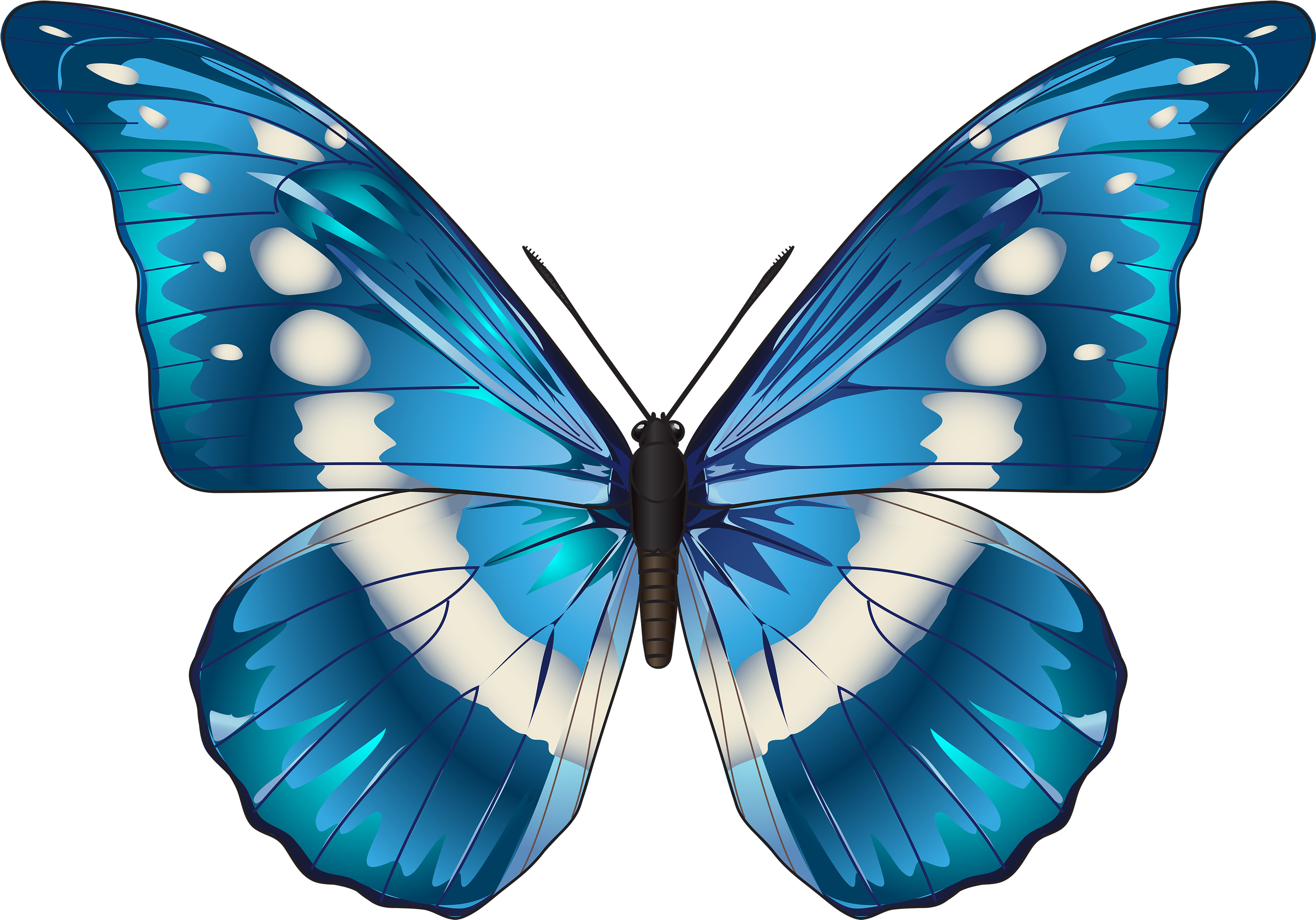 Vibrant Blue Butterfly Illustration PNG Image