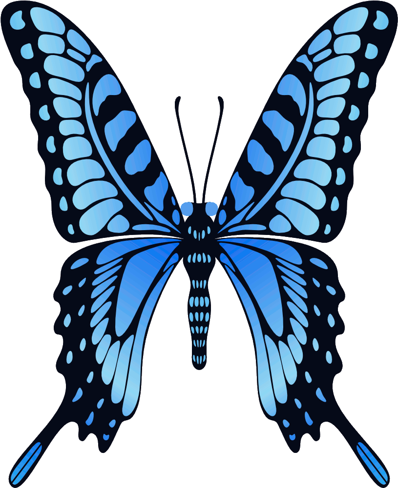 Vibrant_ Blue_ Butterfly_ Illustration.png PNG Image