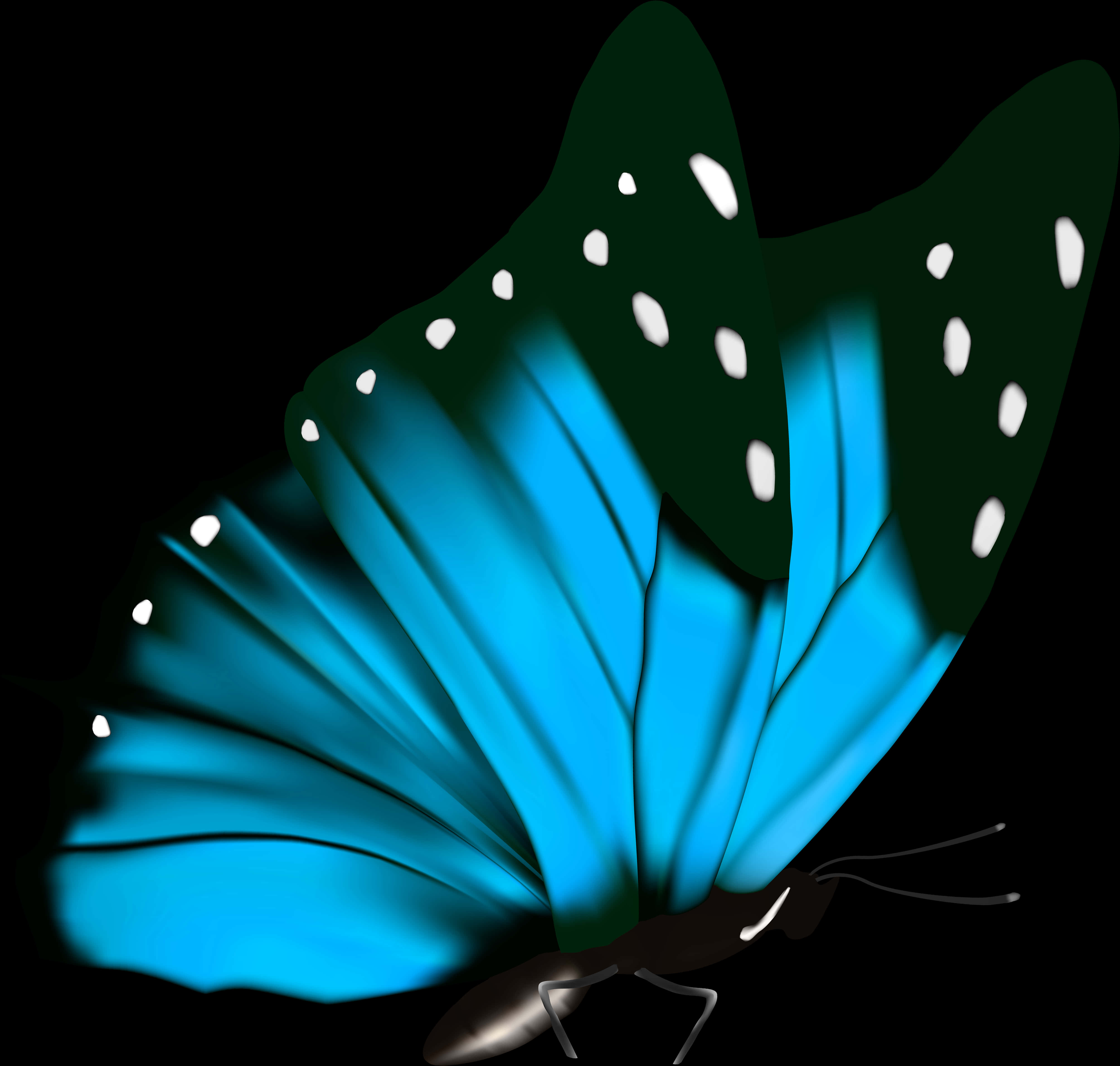 Vibrant Blue Butterflyon Black PNG Image