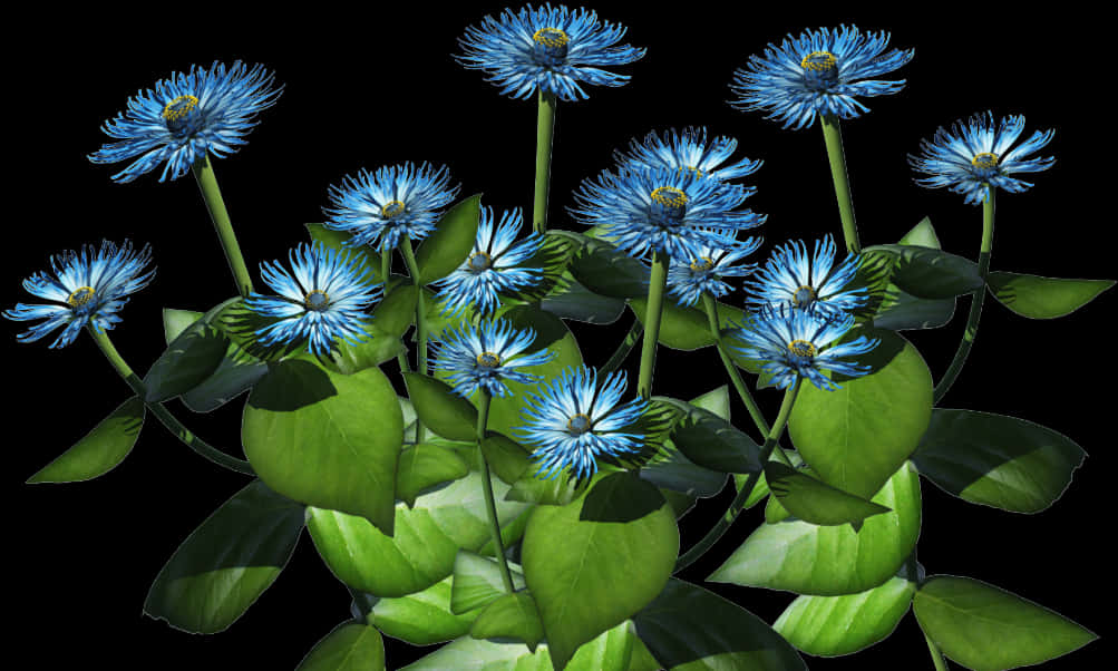 Vibrant Blue Flowers Against Black Background.jpg PNG Image