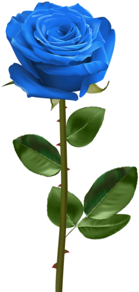 Vibrant Blue Rose Stem PNG Image