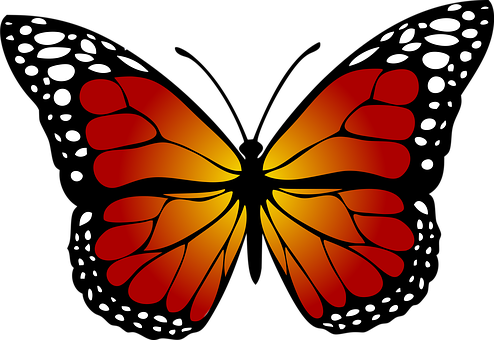 Vibrant Butterfly Silhouette PNG Image