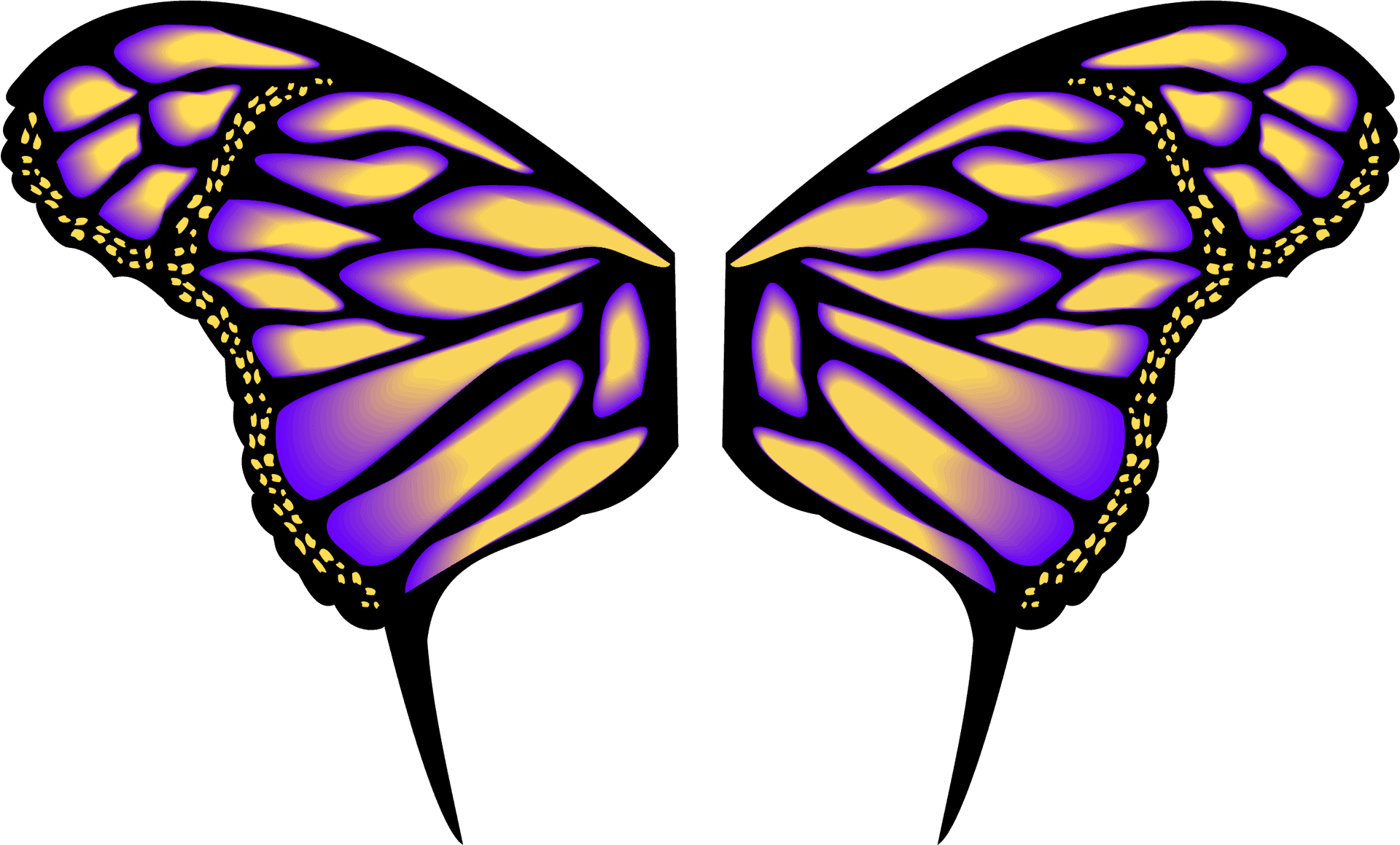 Vibrant Butterfly Wings Vector PNG Image