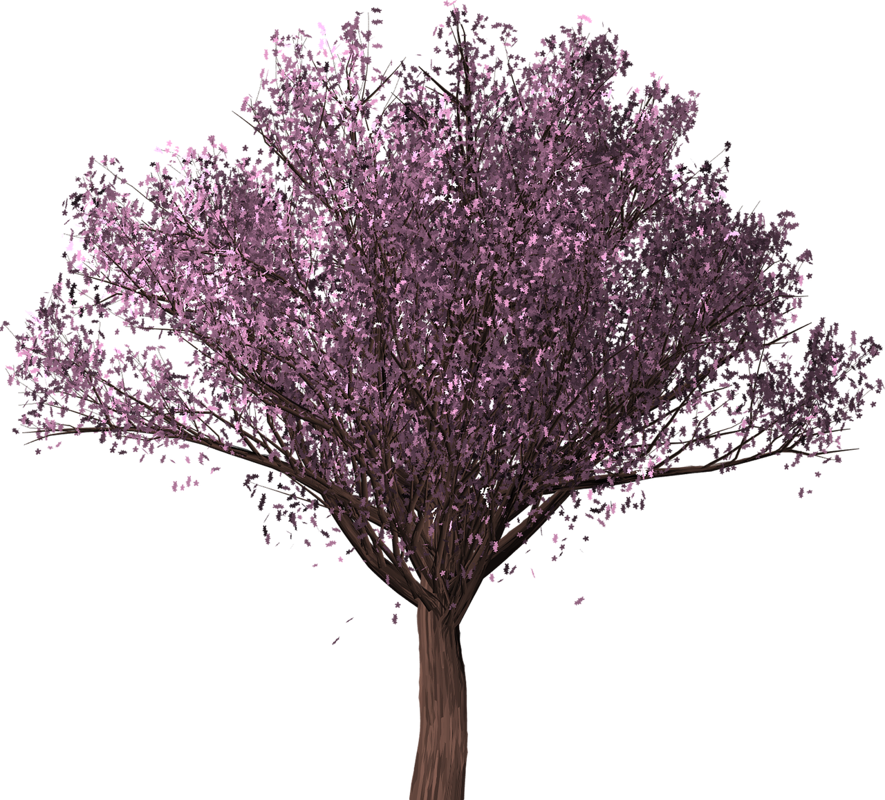 Vibrant Cherry Blossom Tree PNG Image