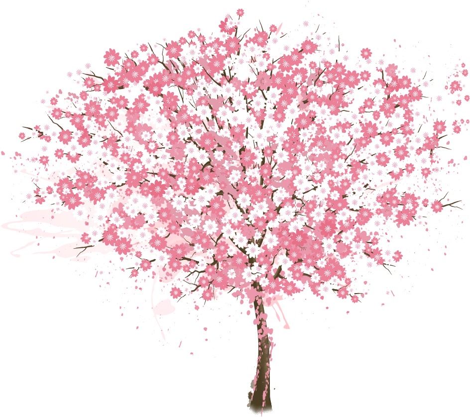 Vibrant Cherry Blossom Tree PNG Image