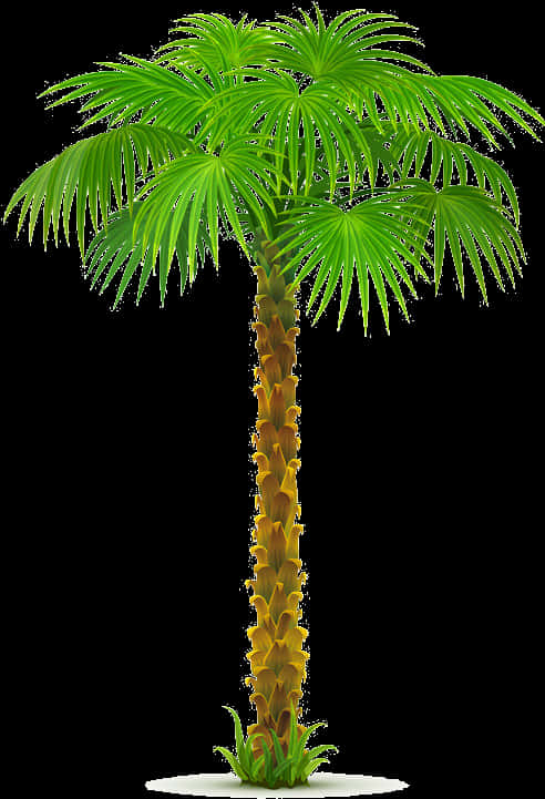 Vibrant Coconut Tree Graphic PNG Image