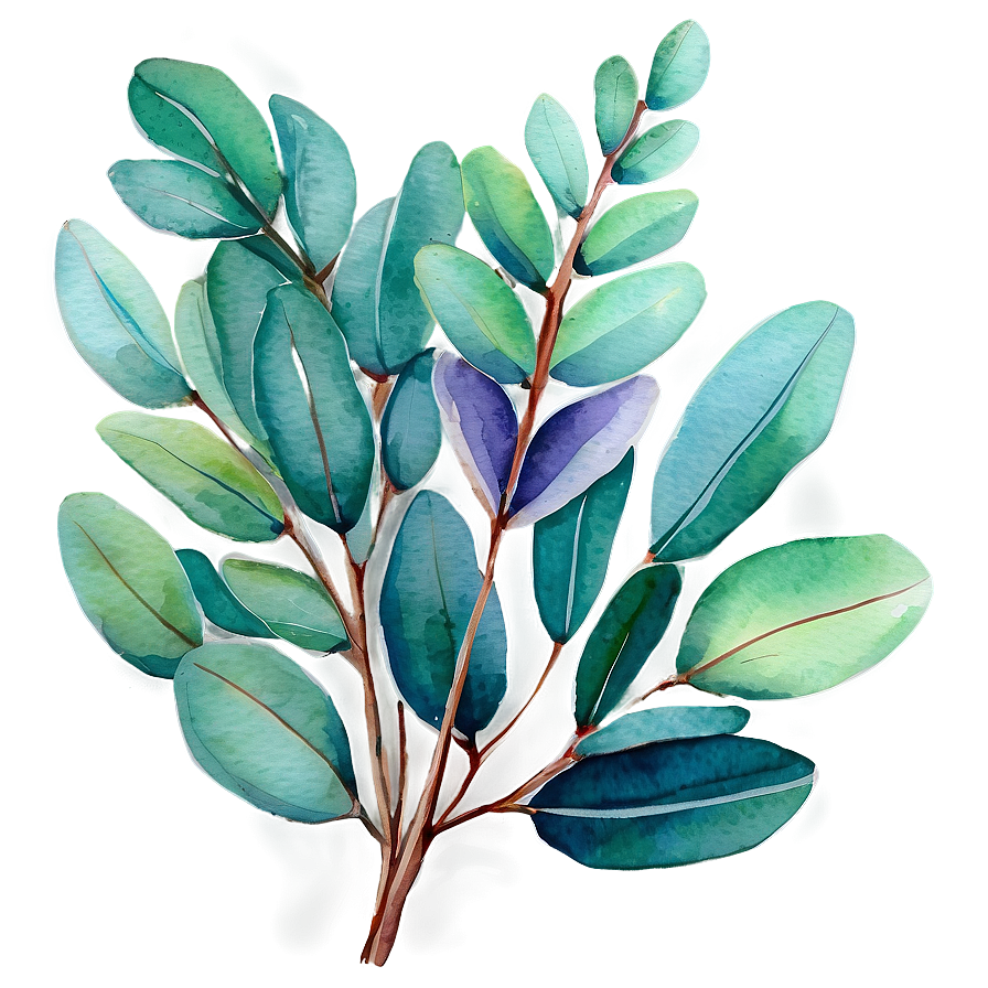 Vibrant Eucalyptus Watercolor Png Huy80 PNG Image