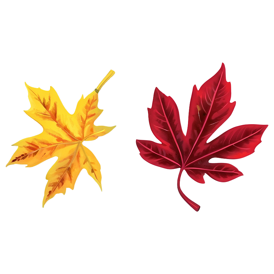 Vibrant Fall Foliage Png Qlk48 PNG Image