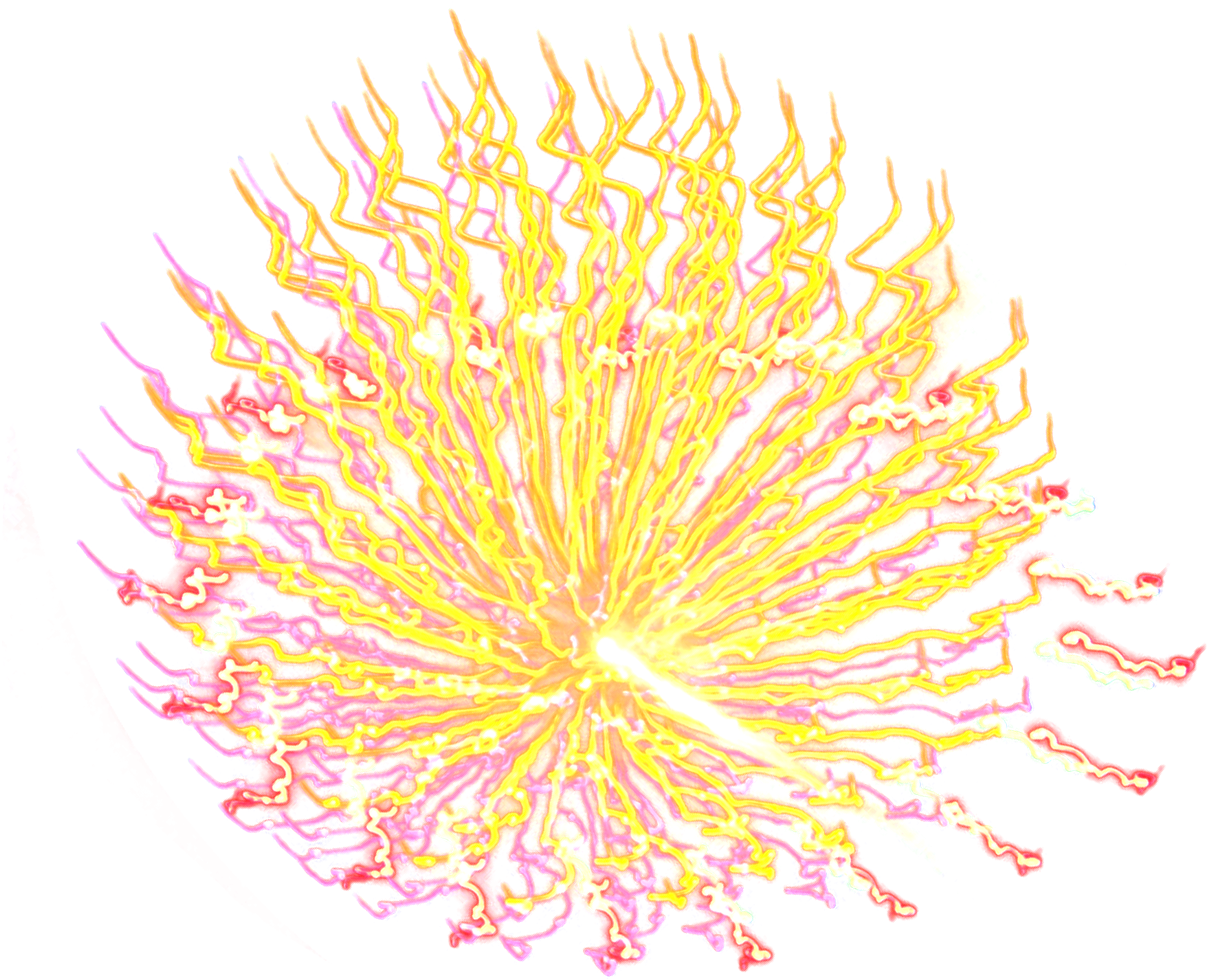 Vibrant Firework Explosion PNG Image