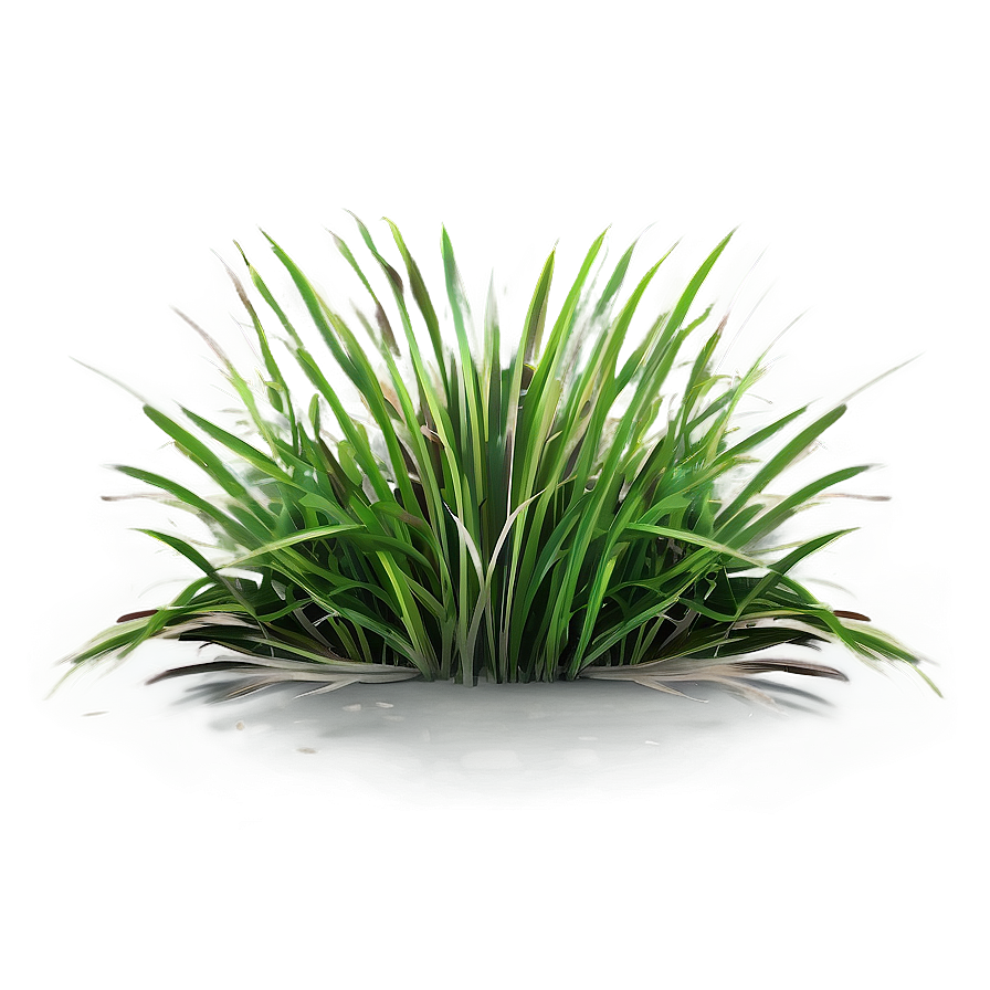 Vibrant Grass Clipart Png 06272024 PNG Image