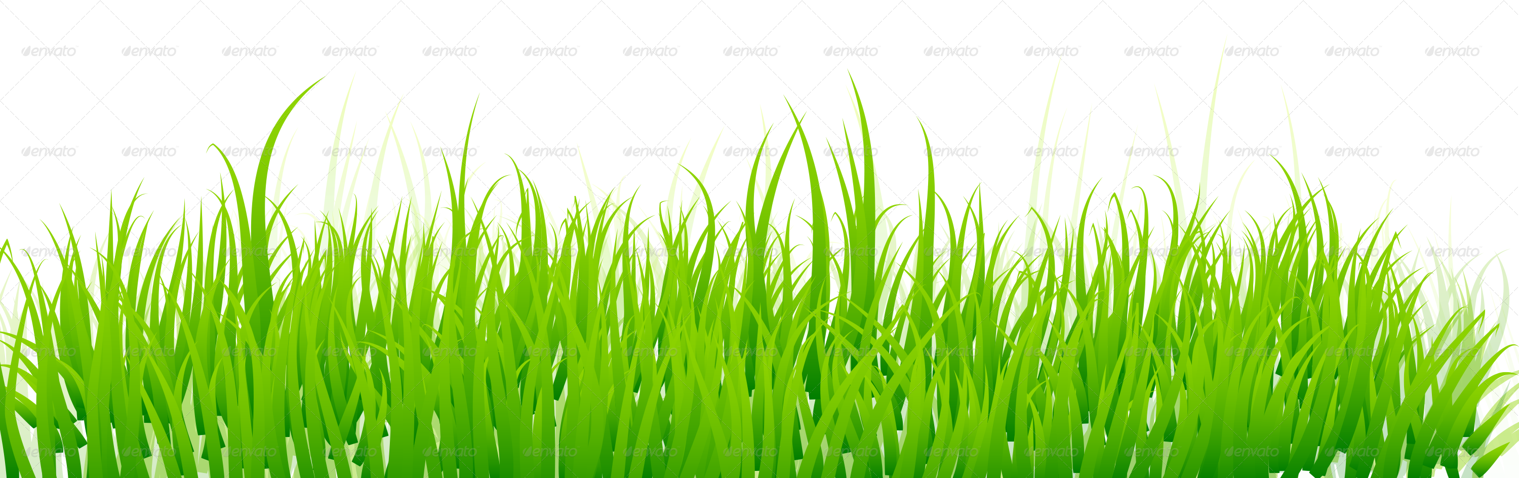 Vibrant_ Grass_with_ Flowers_ Background PNG Image