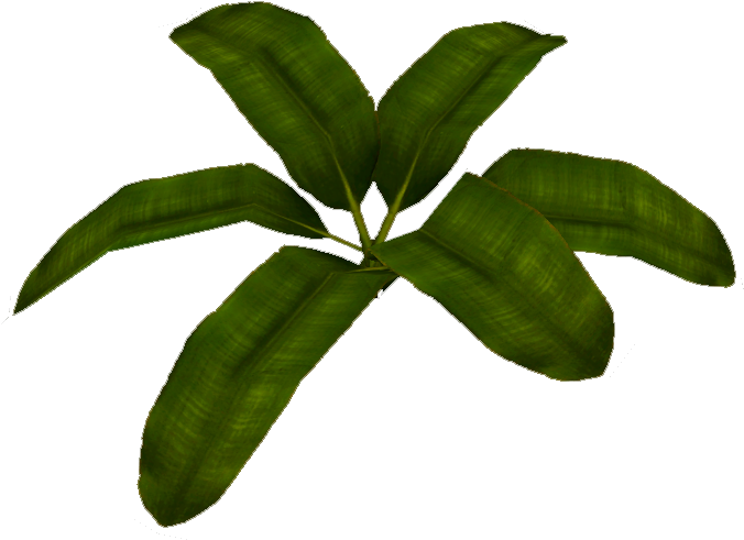 Vibrant Green Banana Leaves PNG Image