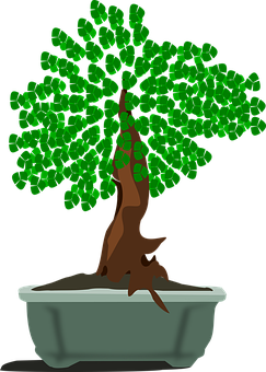 Vibrant Green Bonsai Vector PNG Image