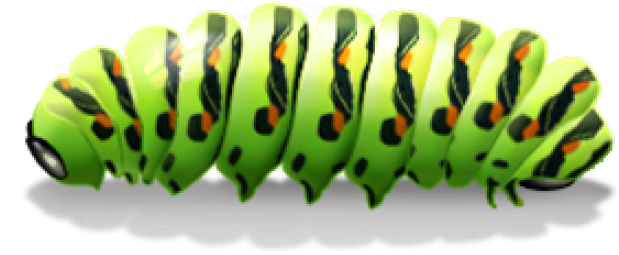 Vibrant Green Caterpillar Illustration PNG Image