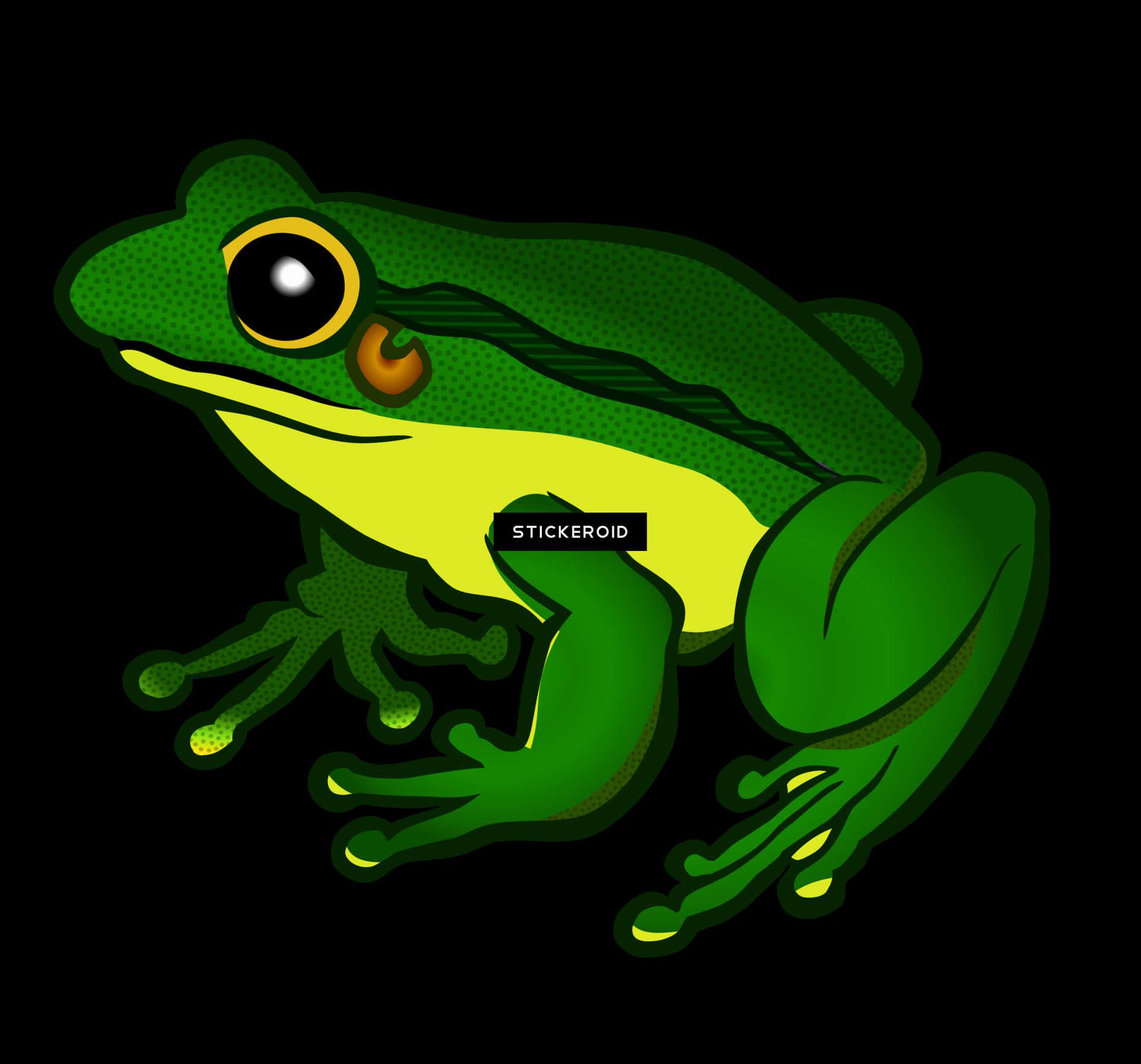 Vibrant Green Frog Illustration PNG Image