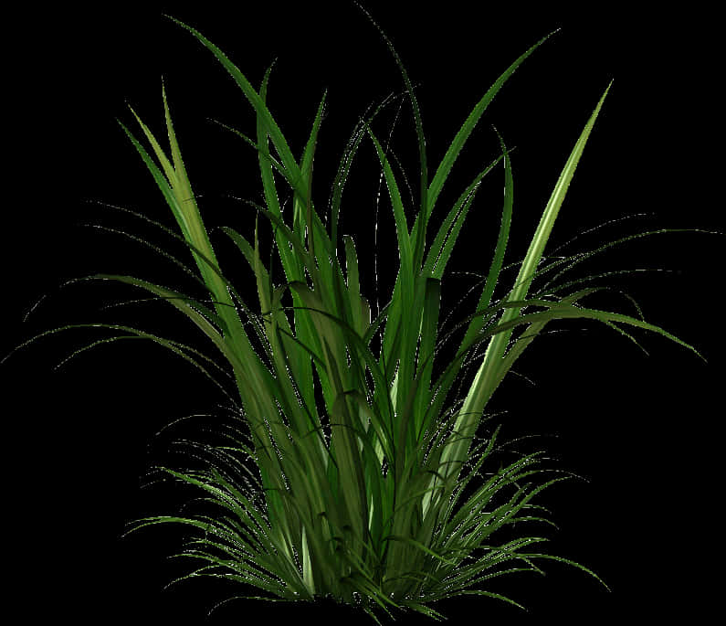 Vibrant Green Grass Clump PNG Image