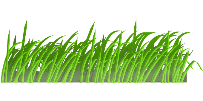 Vibrant Green Grass Illustration PNG Image