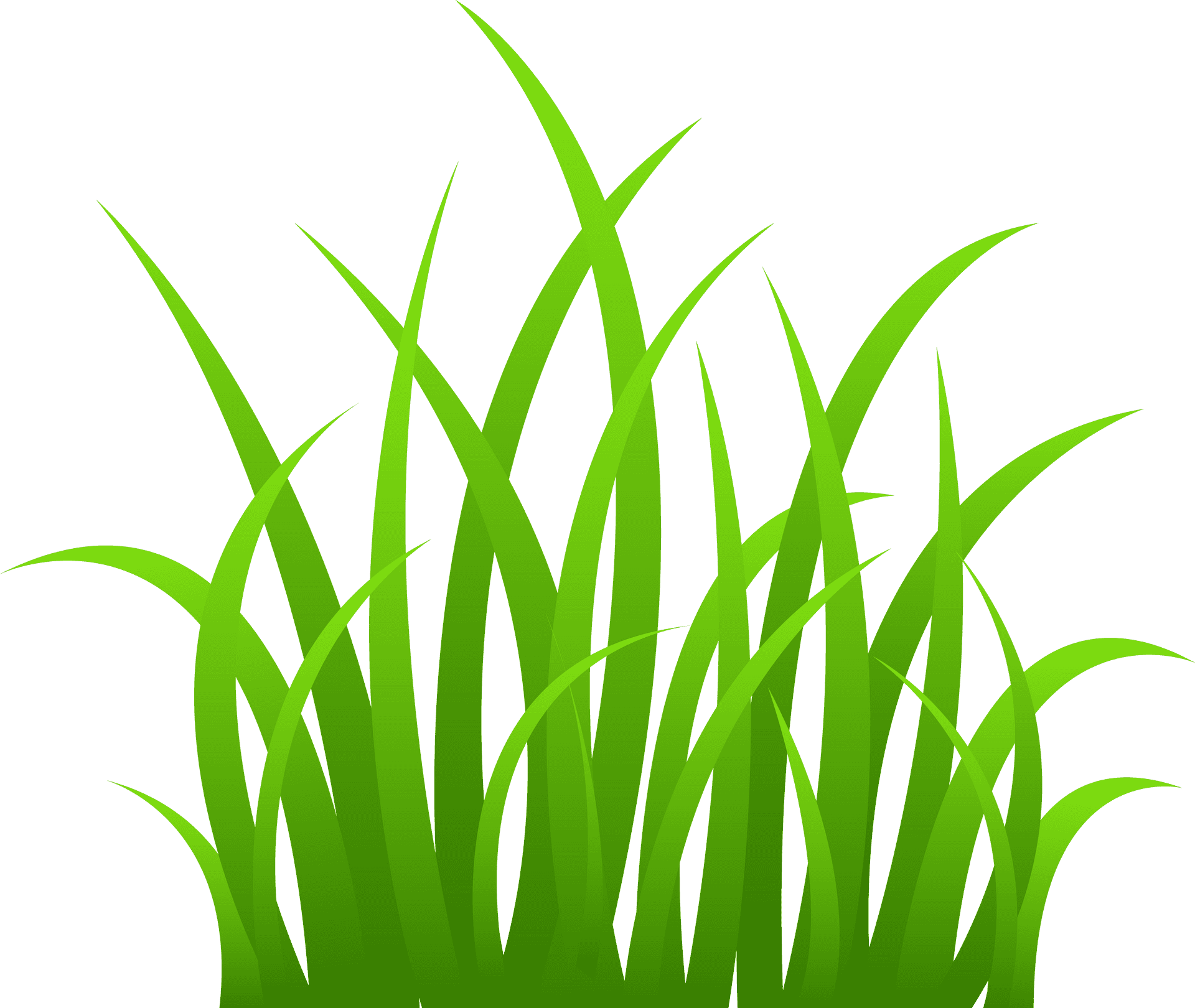 Vibrant Green Grass Vector Illustration PNG Image