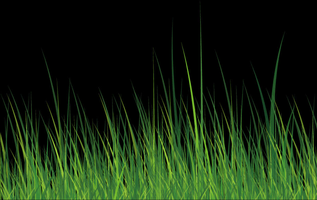 Vibrant Green Grasson Black Background.jpg PNG Image