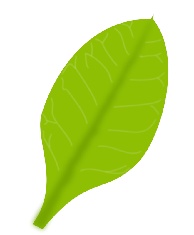 Vibrant Green Leaf Black Background PNG Image