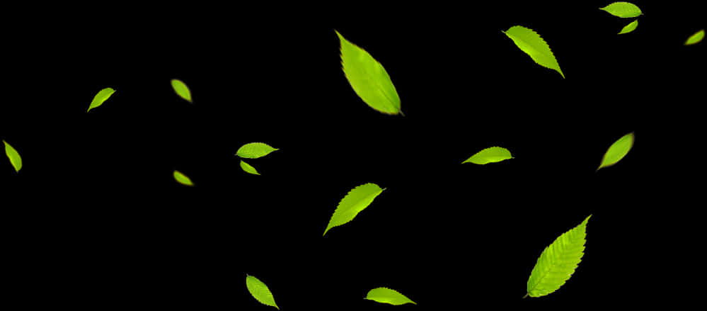 Vibrant Green Leaves Against Black Background PNG Image