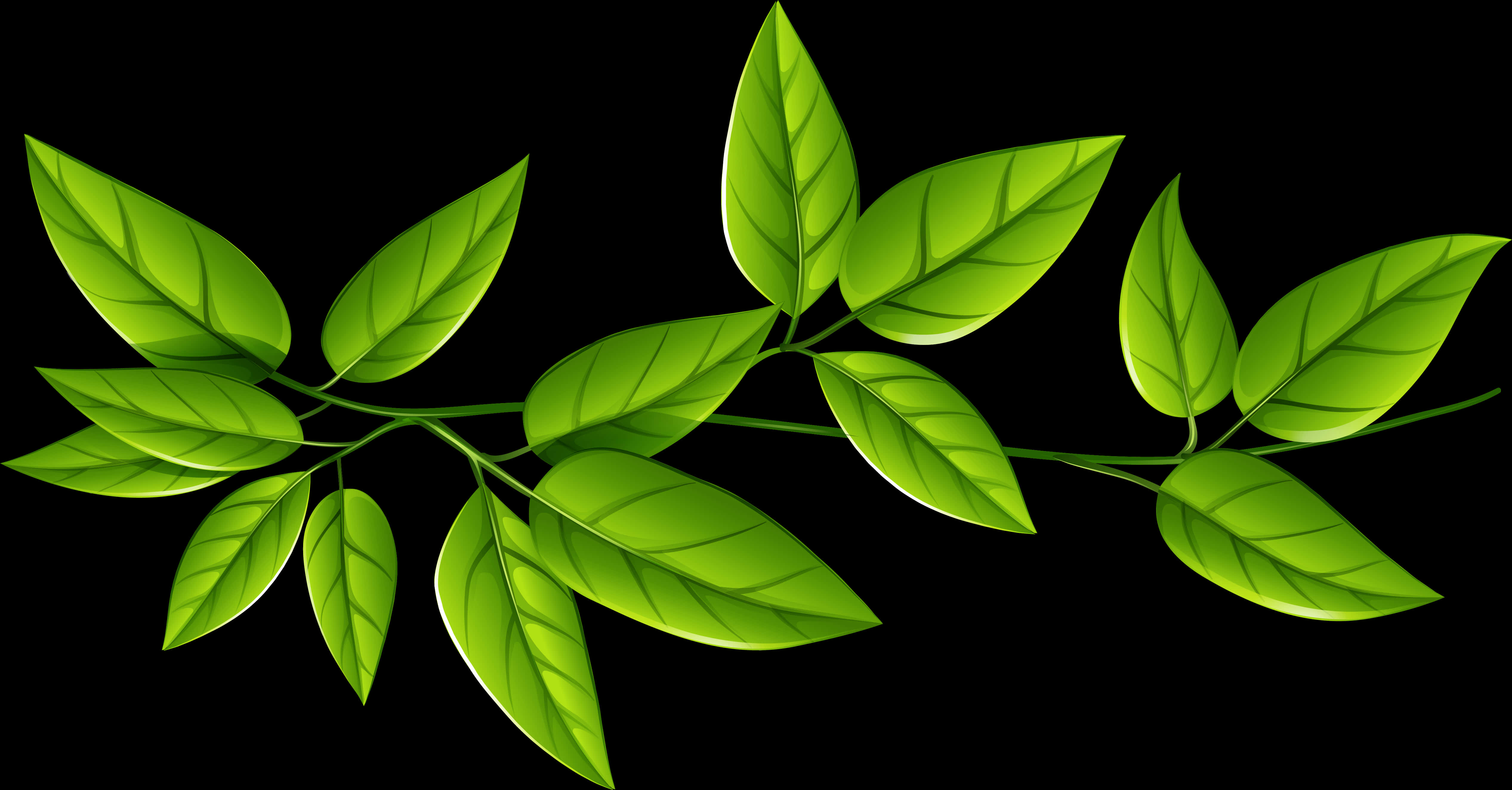 Vibrant Green Leaves Clipart PNG Image