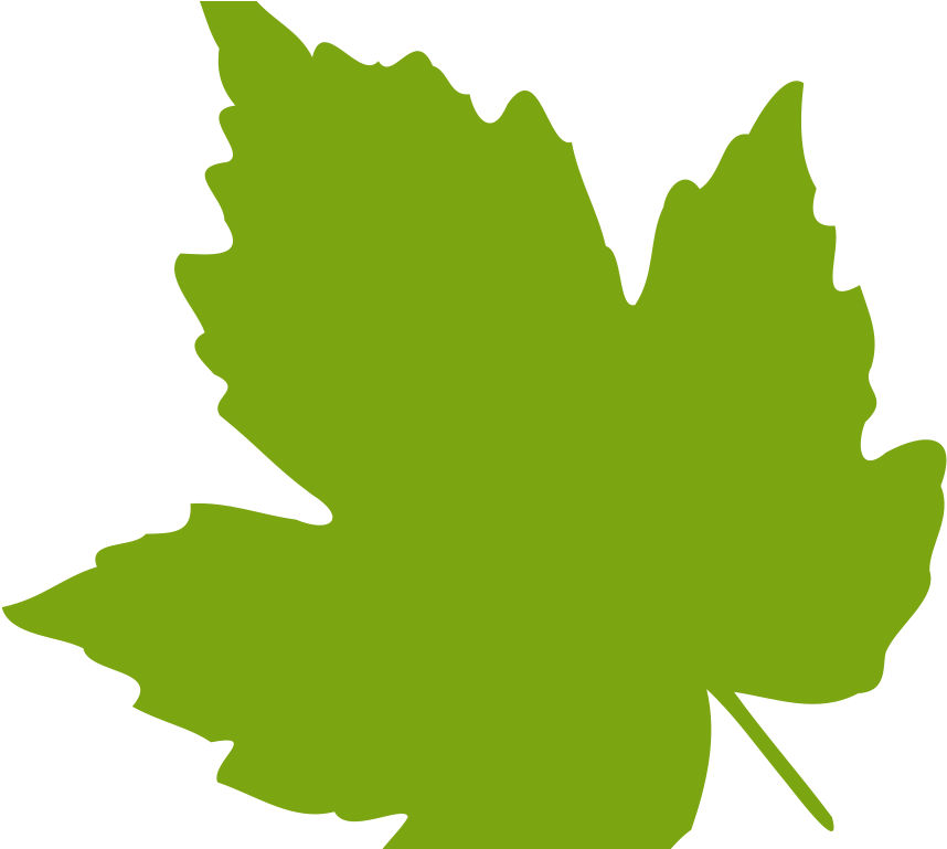 Vibrant Green Maple Leaf Graphic PNG Image