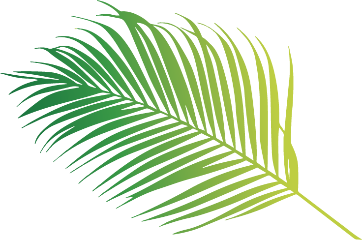 Vibrant Green Palm Leaf PNG Image