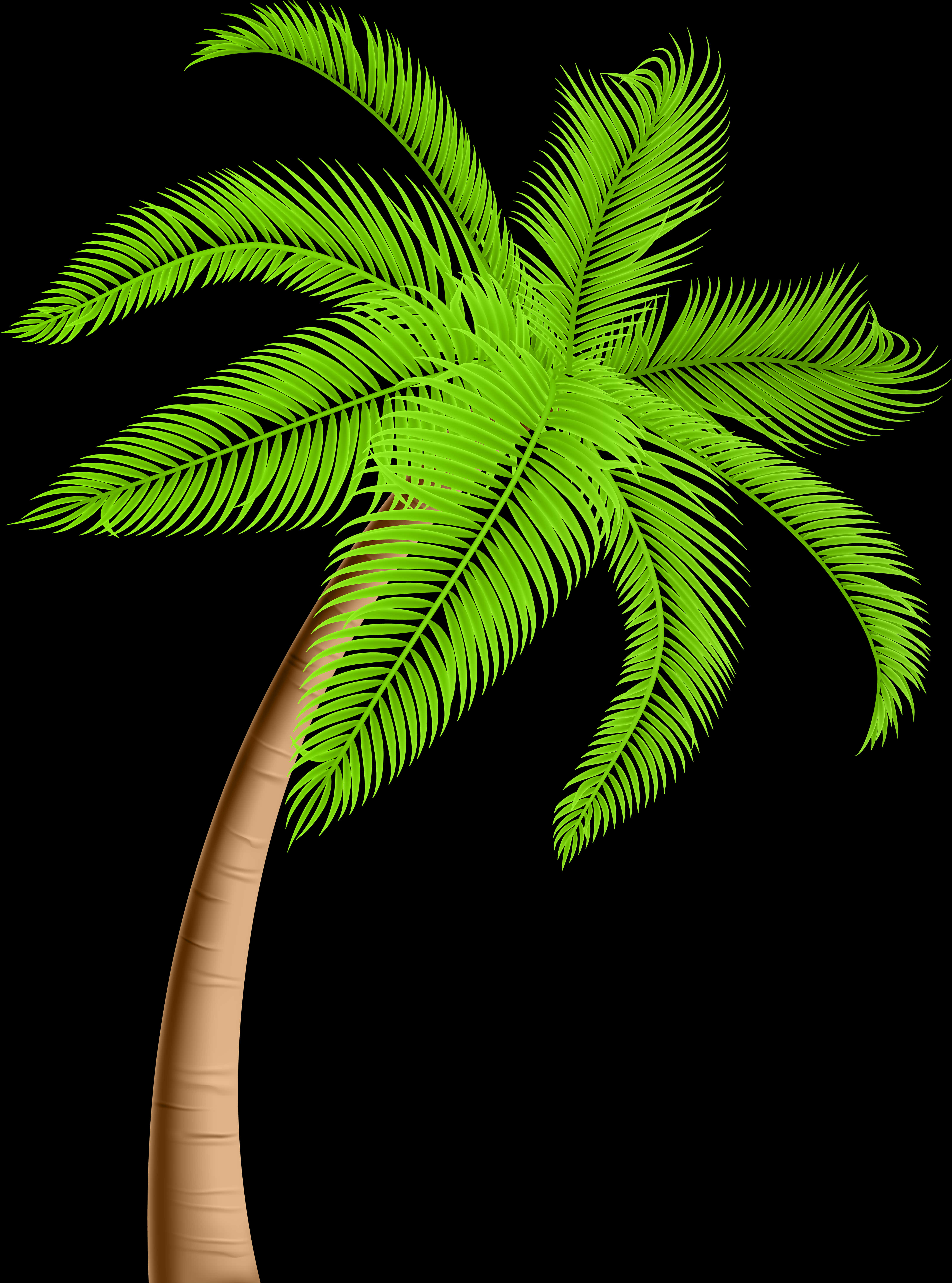 Vibrant Green Palm Tree Graphic PNG Image