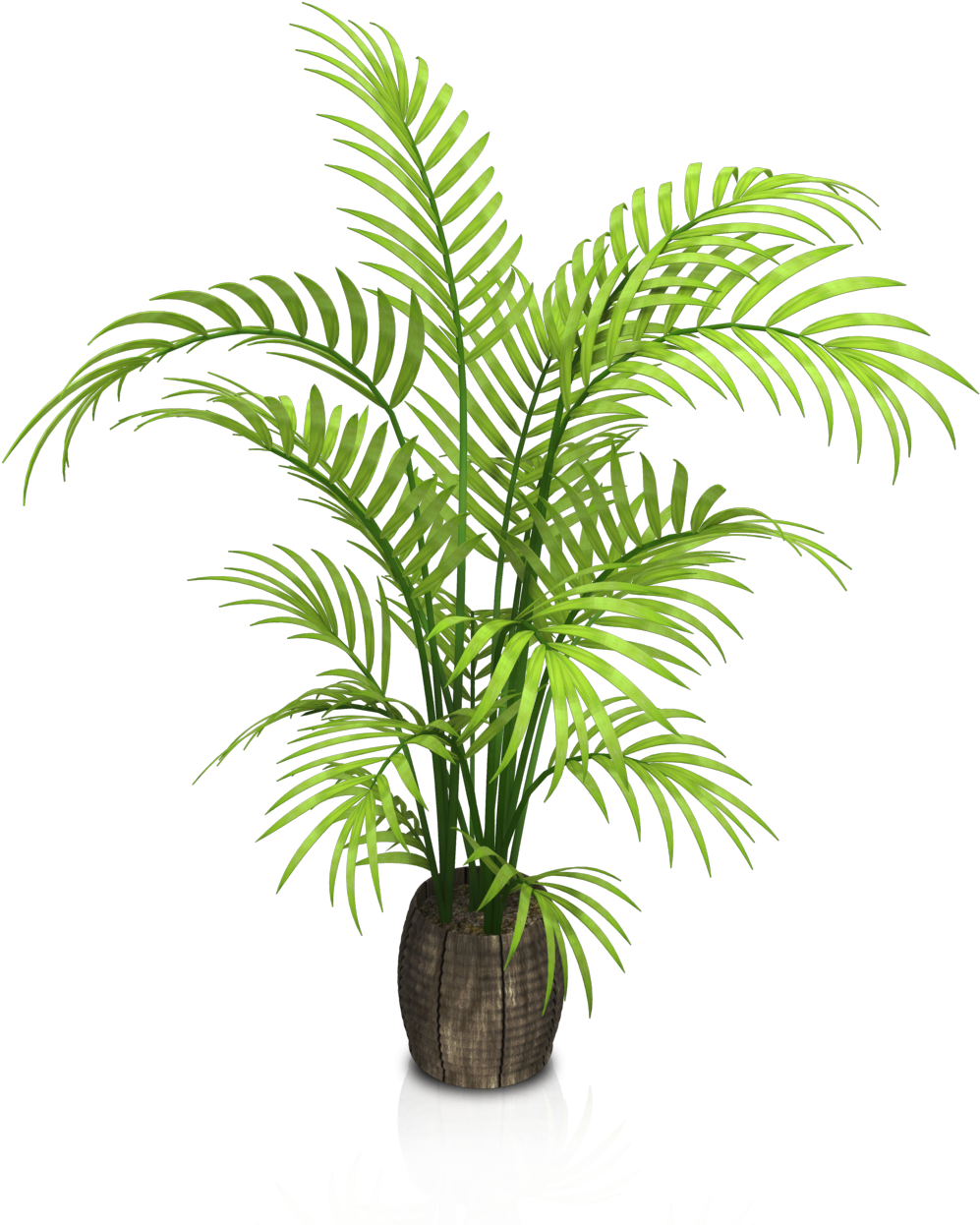 Vibrant Green Potted Palm Plant PNG Image