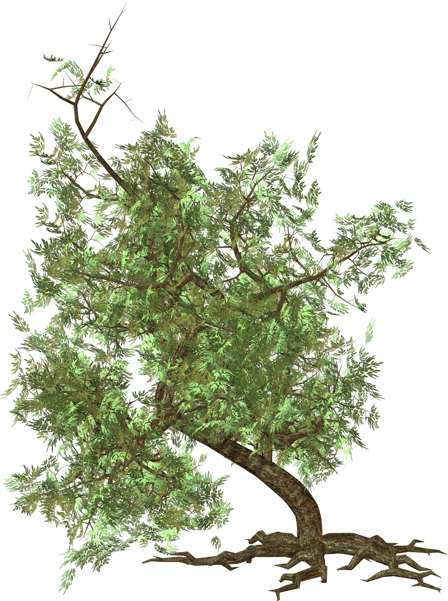 Vibrant Green Tree Graphic PNG Image