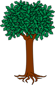 Vibrant Green Tree Illustration PNG Image