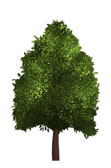 Vibrant Green Treeon Black Background PNG Image