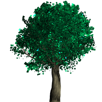 Vibrant Green Treeon Black Background PNG Image