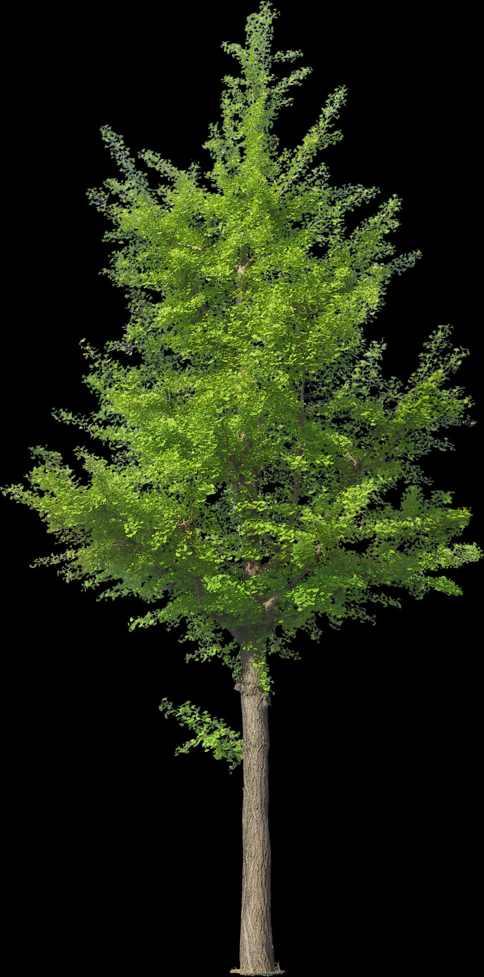 Vibrant Green Treeon Black Background PNG Image