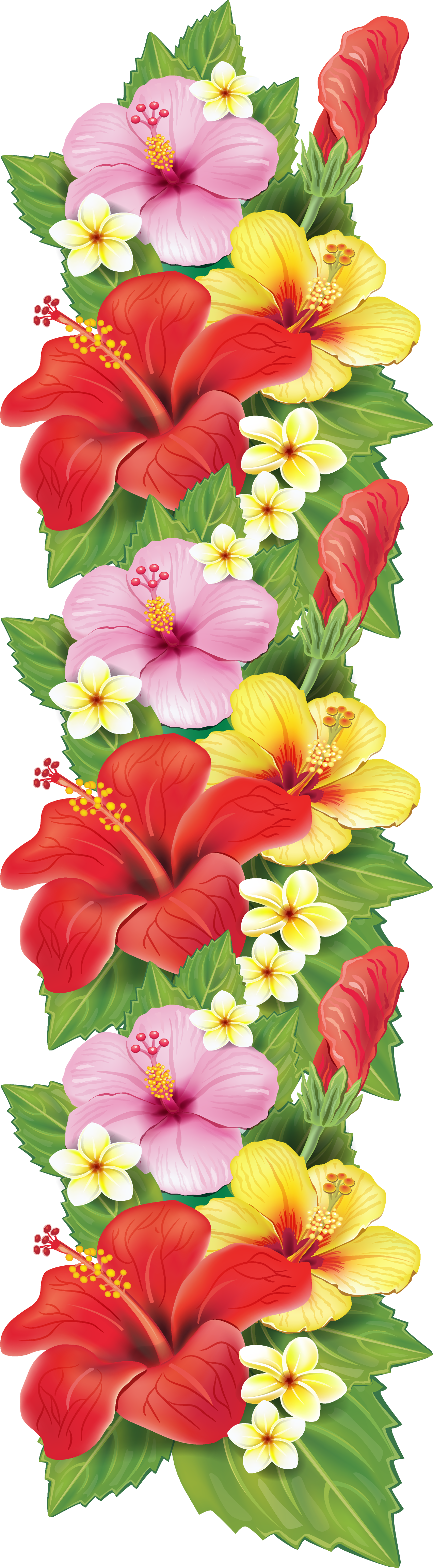 Vibrant_ Hawaiian_ Hibiscus_ Flowers PNG Image