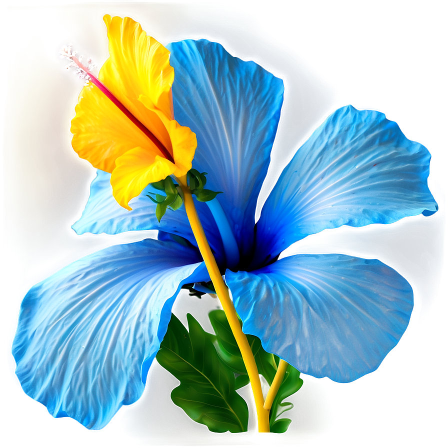 Vibrant Hibiscus Png 05232024 PNG Image