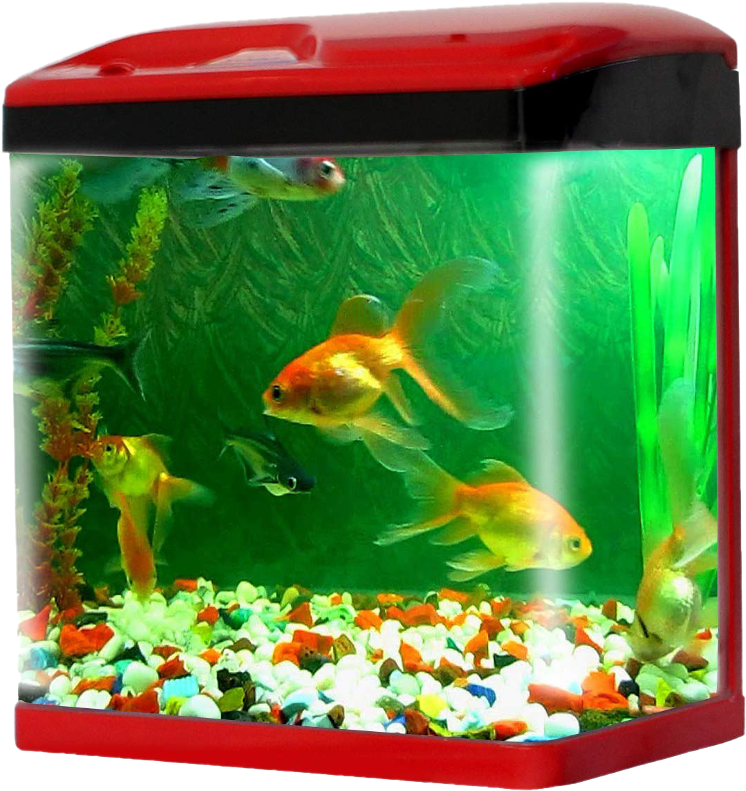 Vibrant Home Aquarium PNG Image