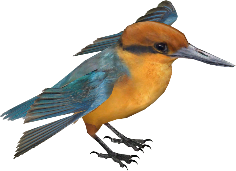 Vibrant Kingfisher Isolated PNG Image