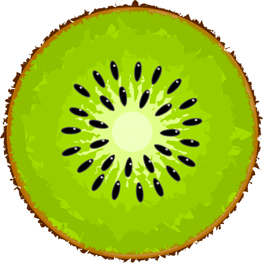 Vibrant Kiwi Slice Illustration PNG Image