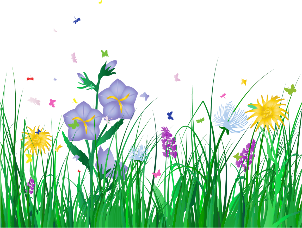 Vibrant Meadow Floral Scene PNG Image