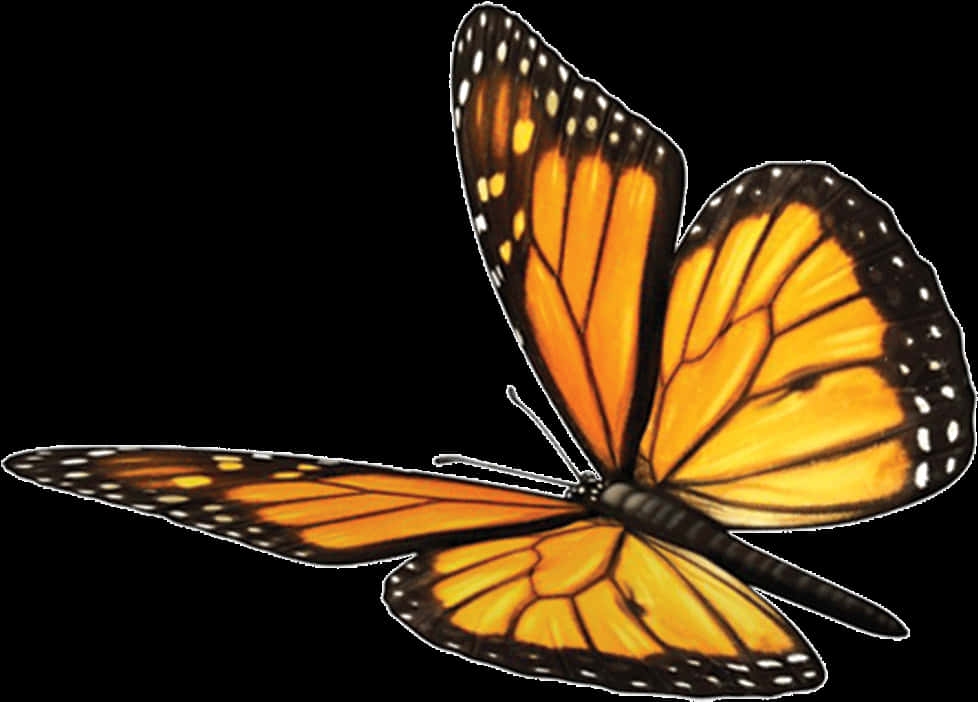 Vibrant Monarch Butterfly PNG Image