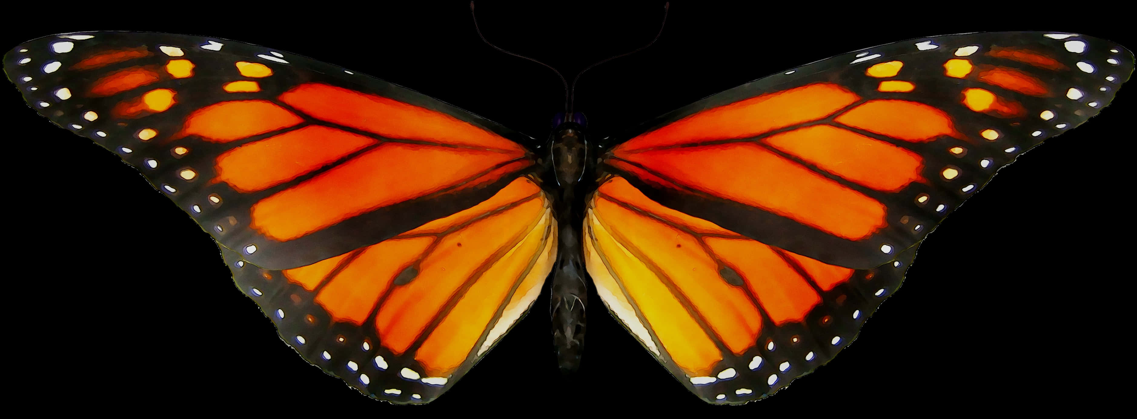 Vibrant_ Monarch_ Butterfly_ Transparent_ Background PNG Image