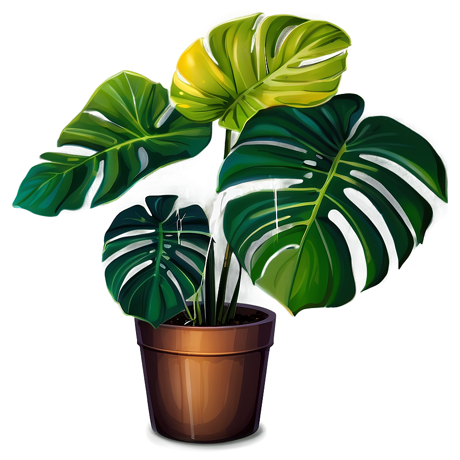 Vibrant Monstera Plant Png 15 PNG Image