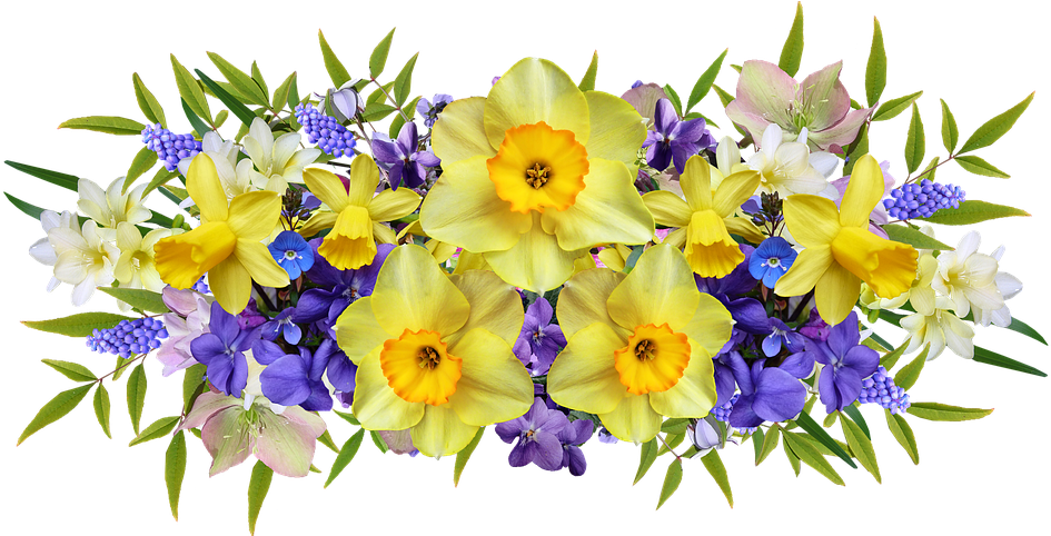 Vibrant Narcissus Floral Arrangement PNG Image