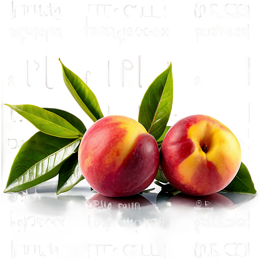 Vibrant Nectarine Png 89 PNG Image