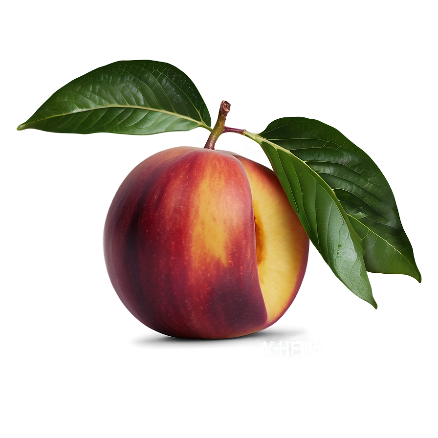 Vibrant Nectarine Png Wwk3 PNG Image