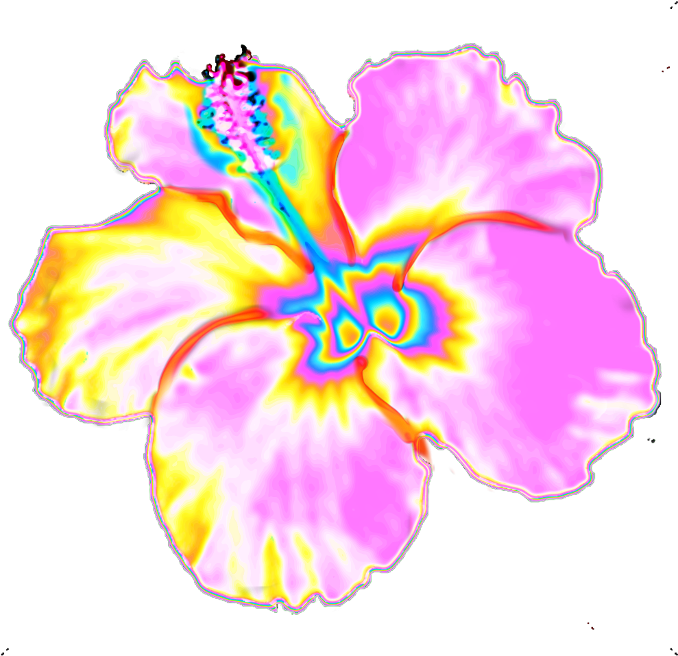 Vibrant Neon Outline Flower PNG Image