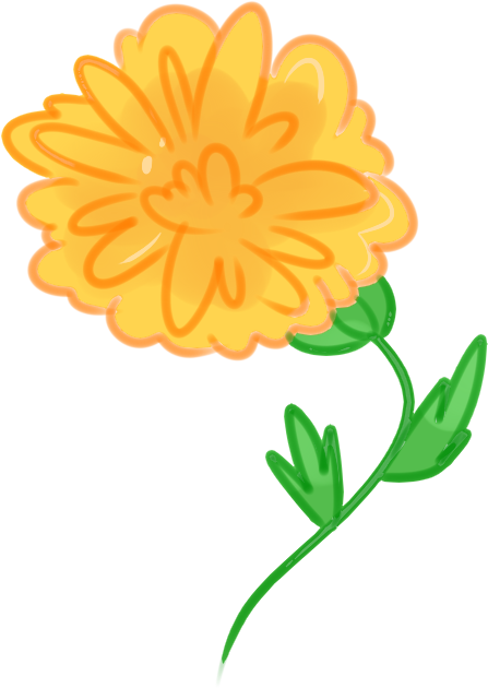 Vibrant Orange Flower Illustration PNG Image