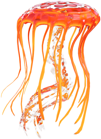 Vibrant Orange Jellyfish Graphic PNG Image